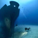 Dive into Malta’s Underwater World