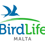 Bluewaves Watersports Supports Birdlife Malta