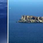 Sharks in Malta