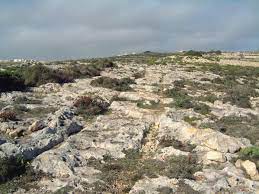 Ras il-Qala rocks