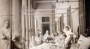 Nurse of the Mediterranean thumbnail