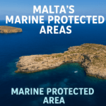 No Fishing Zones and Diving Locations