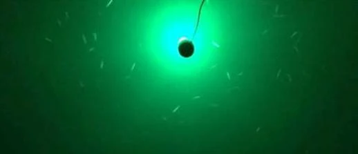 Underwater LED Light for fishing