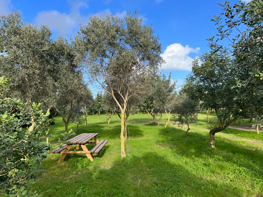 Best Picnic Places in Malta ta Qali