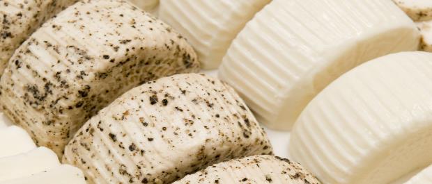 Maltese gbejna traditional