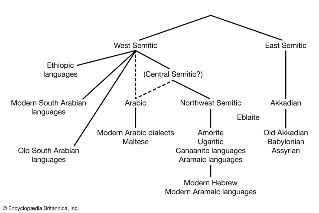 The Maltese Language origin