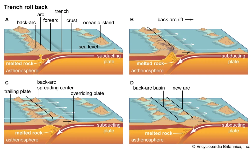 Uplift and the Emergence of the Islands