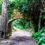 Buskett Gardens in Siġġiewi