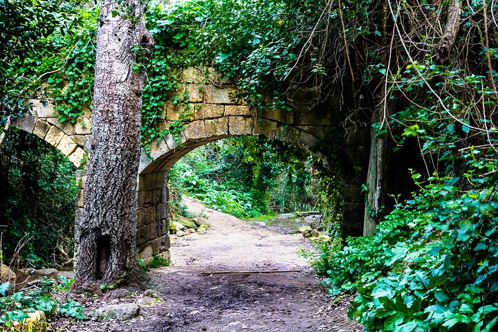 Buskett Gardens, Siġġiewi dingli