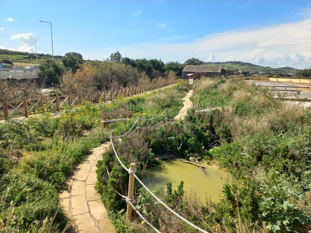 Salina Wetlands, Malta passage