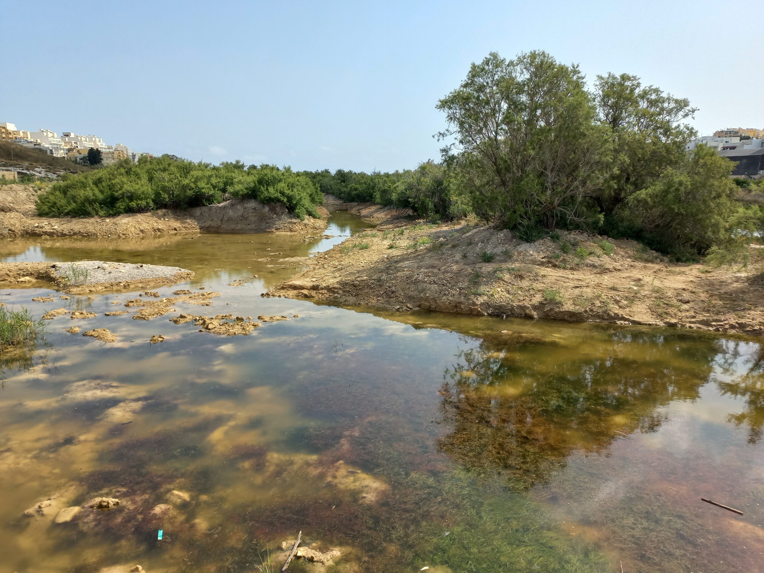 Salina Wetlands in Malta