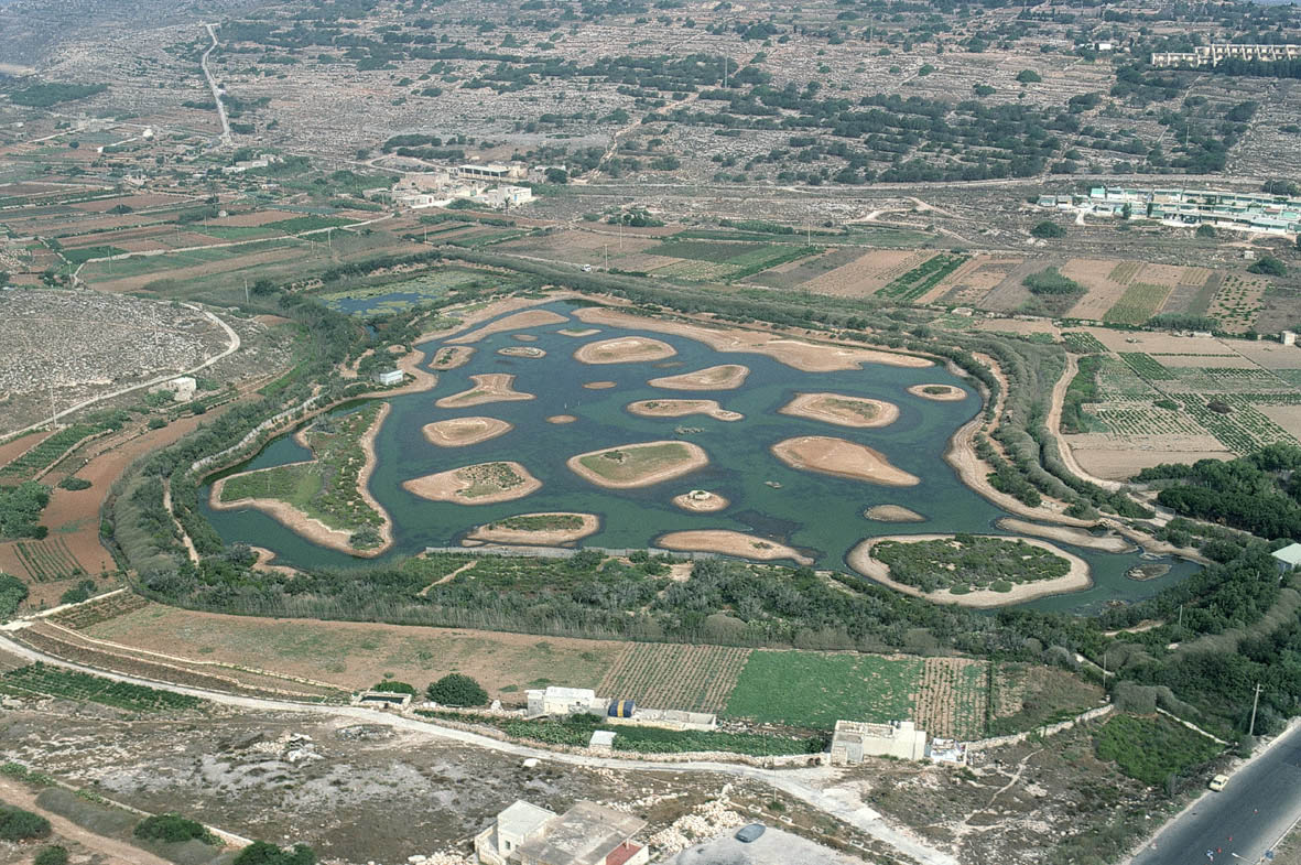 Ghadira nature reserve