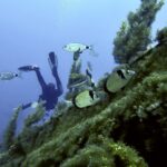 Ċirkewwa Marine Park