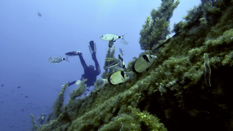 ÄŠirkewwa Marine Park