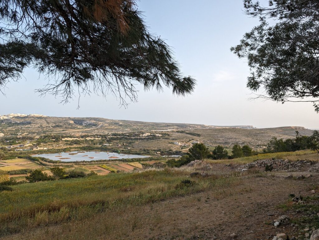 Foresta 2000 Nature Reserve over ghadira