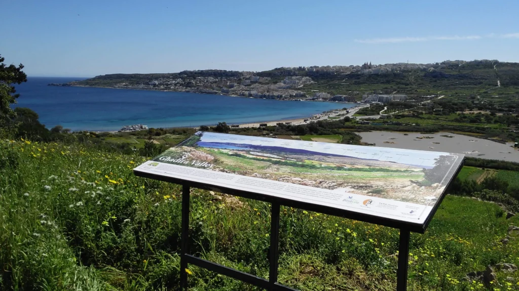 Foresta 2000 Nature Reserve spring