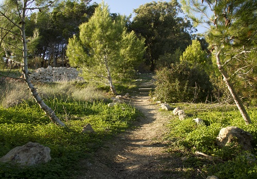 Foresta 2000 Nature Reserve trail