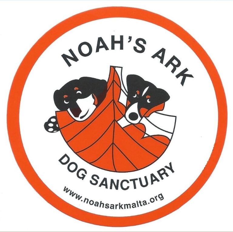 Noah Ark