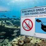 Non‑Fishing Zones in Malta