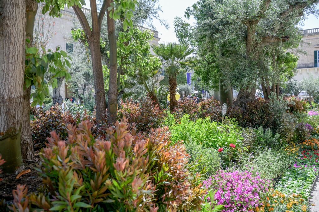 Malta’s Eco Festival 2026