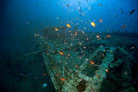 SS Polynesien underwater