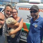 Bluewaves Watersports Rescues Dog in Distress at Blue Lagoon, Malta