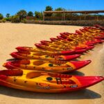 Our Brand-New Kayak Fleet