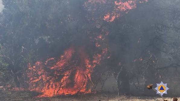 Wildfires in Malta and How We Can Prevent